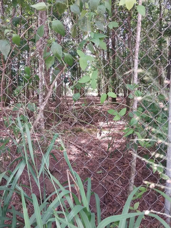 Bán nhanh đất vàng 1100m2 Vĩnh Tân, Đồng Nai, view biệt thự, phong thủy cực đỉnh