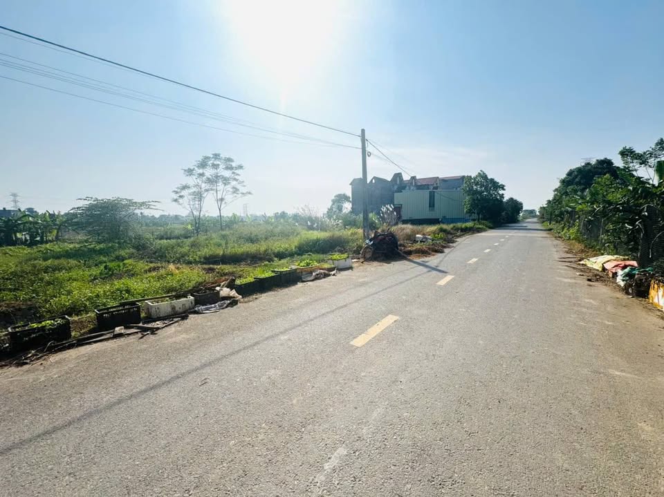 Đất Hưng Hà giá rẻ giật mình, nhanh tay kẻo lỡ