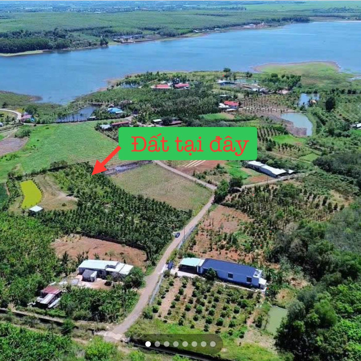 Bán lô đất 10.000m2 tại Châu Đức, Bà Rịa - Vũng Tàu, lý tưởng để xây dựng nhà vườn