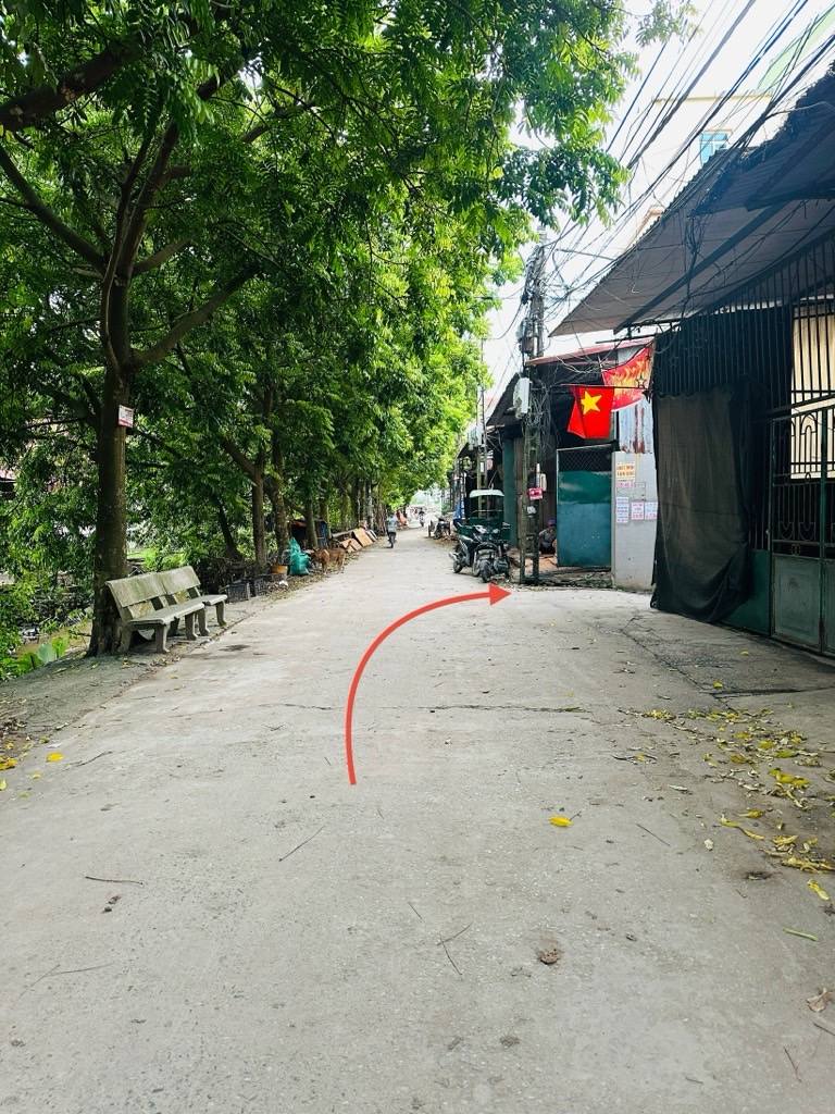 Siêu phẩm Thụy Lô 97m2, trung tâm xã Thư Lâm, ô tô vào tận đất