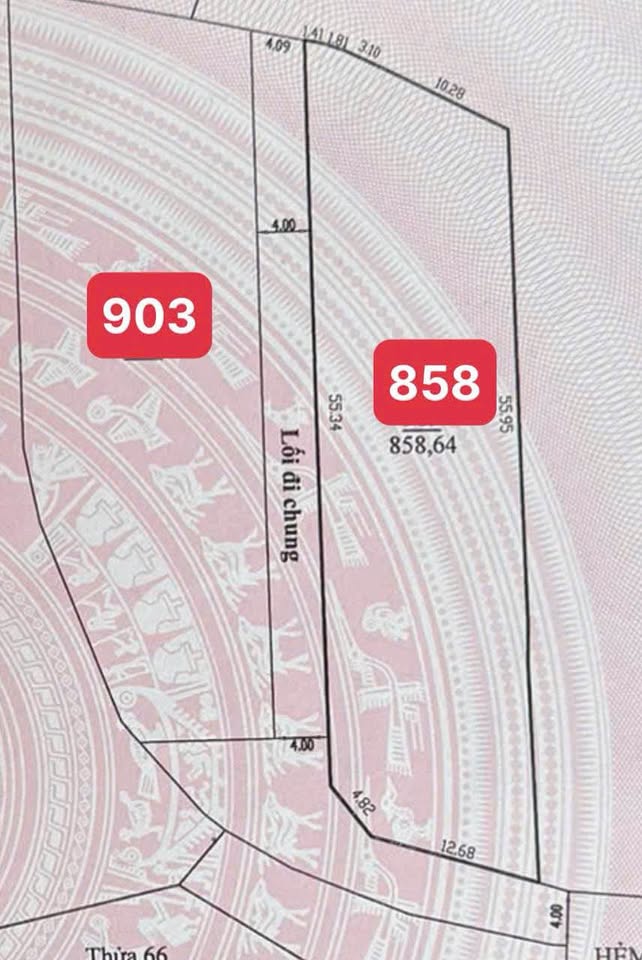 Đất Đà Lạt 2 lô view đẹp, đường nhựa rộng, giá chốt nhanh