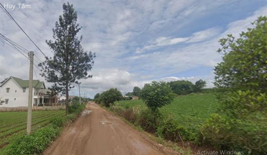 Đất vàng trục DH14 Đà Lạt 7,2m x 30m, sổ riêng, vài phút đến tiện ích