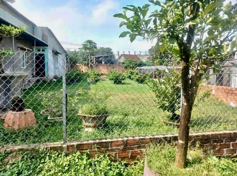 Đất vườn 500m2 tặng nhà cấp 4, giá chỉ 1.7 tỷ