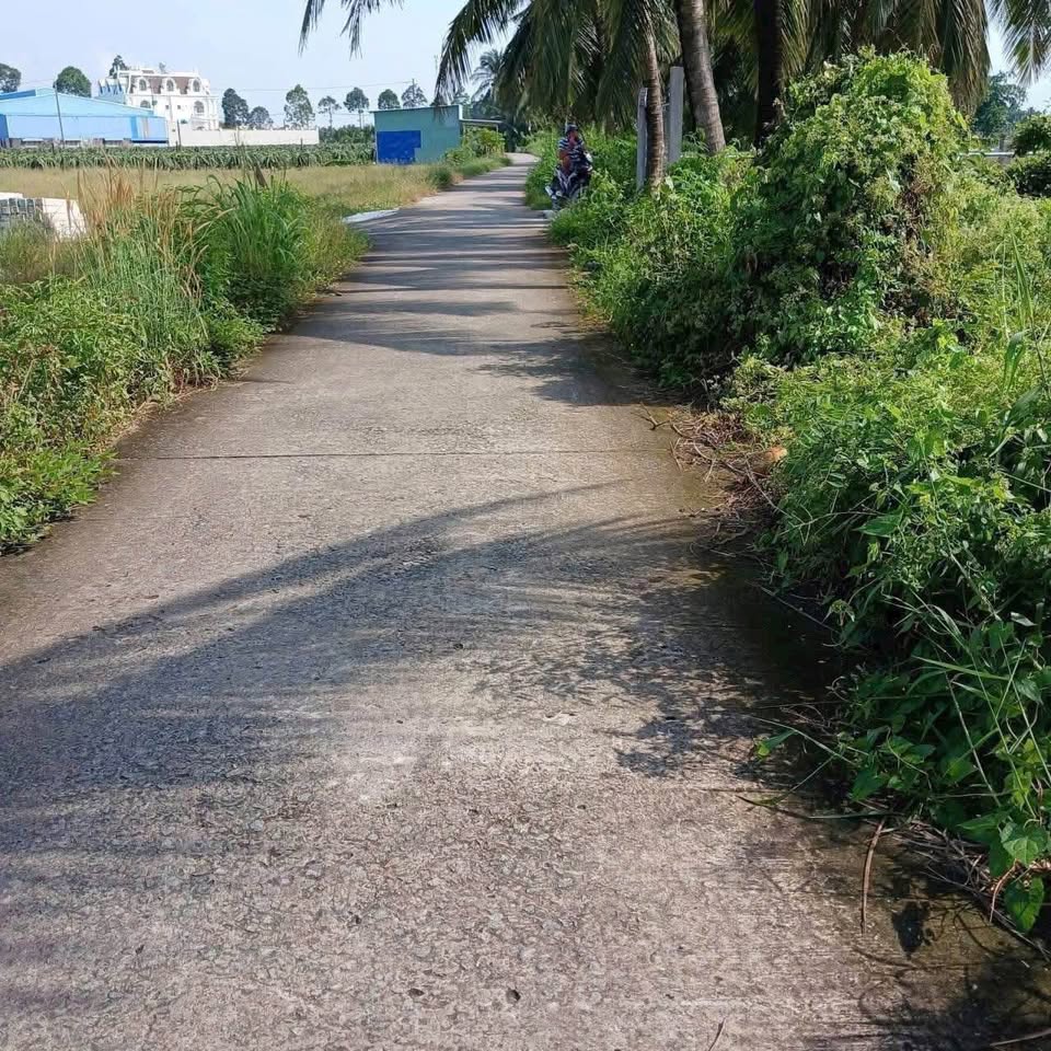 Đất Long An 6000m2 đất vàng lên thổ, làm vườn hay mở quán cafe triệu view