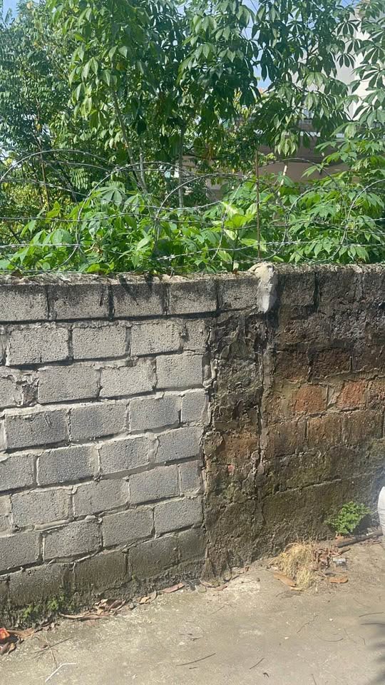 Bán đất Kim Bảng, Hà Nam, lô 113m2 nở hậu đẹp, gần chợ, trường, khu công nghiệp