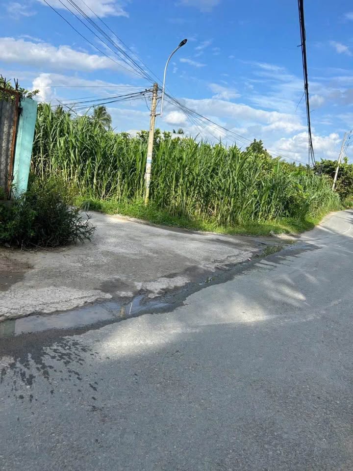 Siêu phẩm đất nền tại Sơn Đông, Bến Tre đã chính thức lộ diện