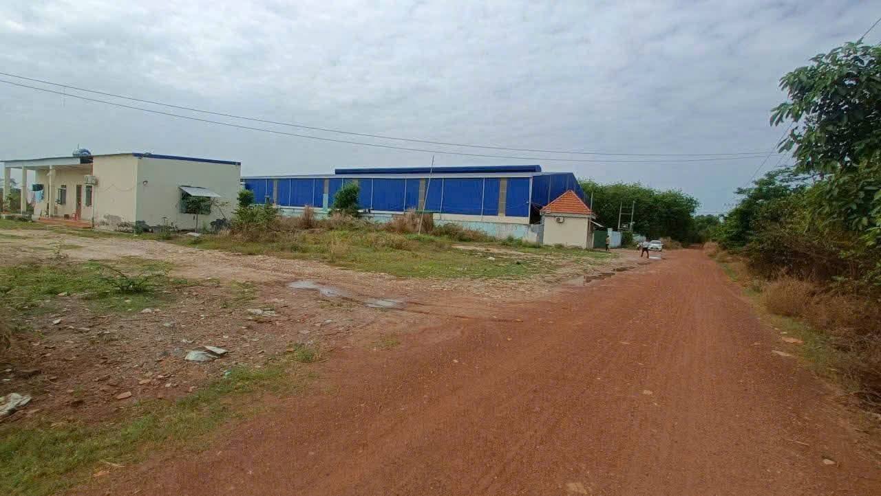 Bán gấp nhà xưởng Bàu Bàng, diện tích khủng, doanh thu ổn định