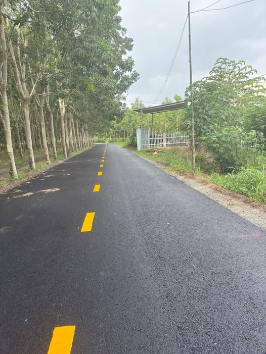 Siêu phẩm đất nền tại Nhựa Lai Uyên, Bàu Bàng, Bình Dương đã chính thức lộ diện