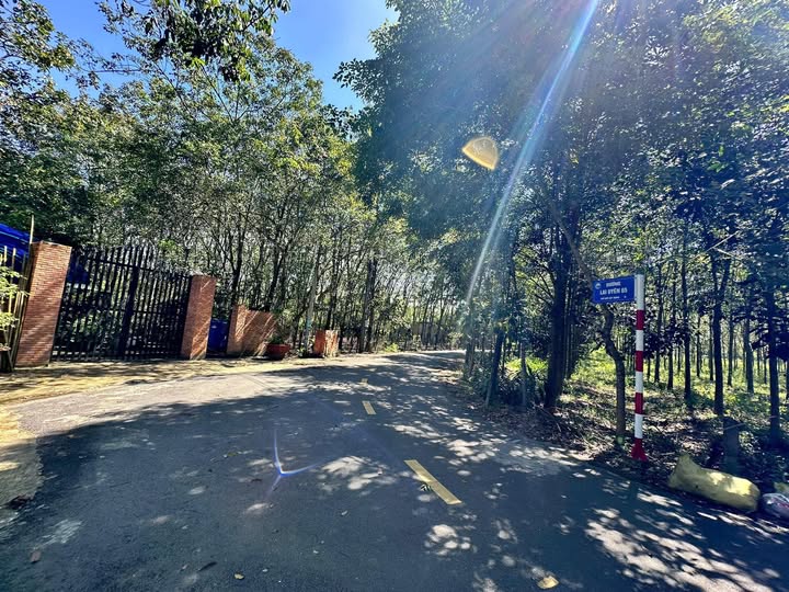 Đất nền Lai Uyên, Bàu Bàng - diện tích lớn, vị trí đắc địa