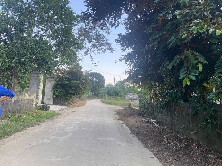 Lô đất Đồng Tâm, Lạc Thủy, ị trí đắc địa, giá hấp dẫn