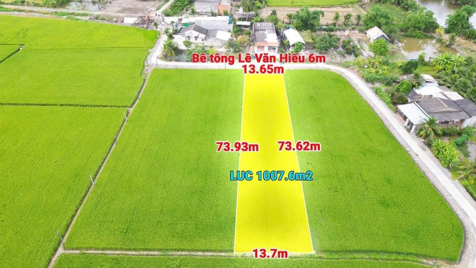Chủ nhà ơi, đừng bỏ lỡ mảnh đất lúa 1000m2 siêu đẹp tại mặt tiền đường Lê Văn Hiếu