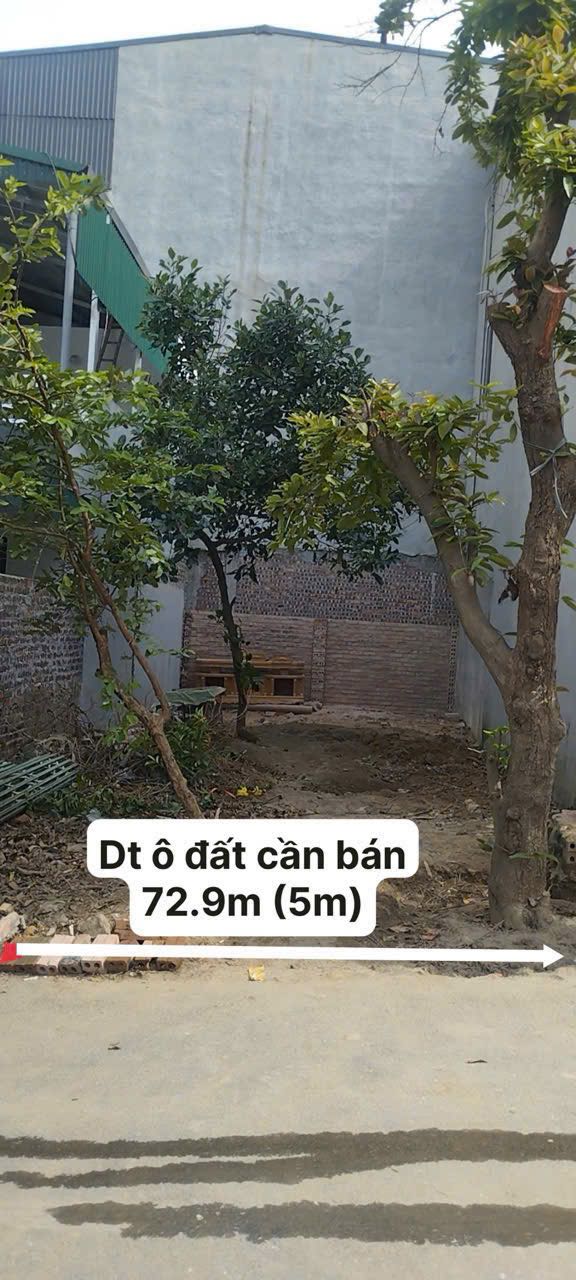 Đất vàng Việt Trì 73m² vuông vắn, ngõ ô tô thoải mái, giá hời
