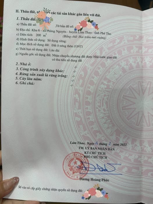 Đất Phùng Nguyên, Việt Trì 200m2 vuông vắn, ô tô tránh, giá yêu thương