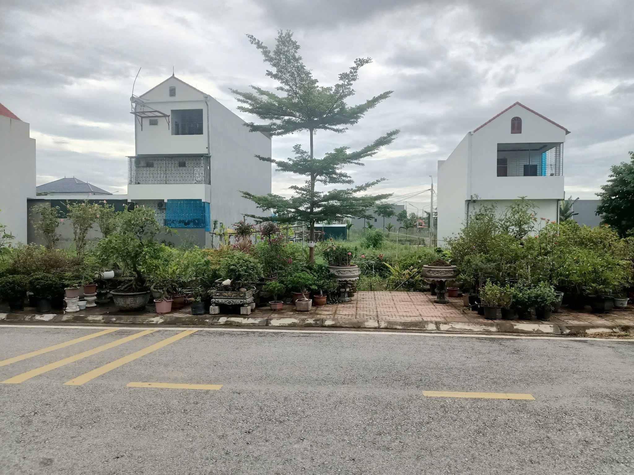 Bán lỗ đất đẹp 120m² trục chính Làng Nội, Việt Trì, cơ hội đầu tư sinh lời