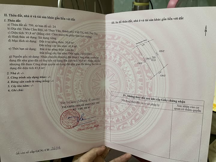 Chính chủ bán gấp đất tái định cư Thụy Vân, giá chỉ 8xx triệu