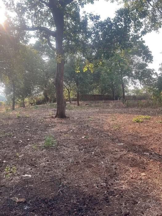 Cơ hội sở hữu ngay hơn 1.7 sào đất cực phẩm tại Bàu Cạn, Đồng Nai