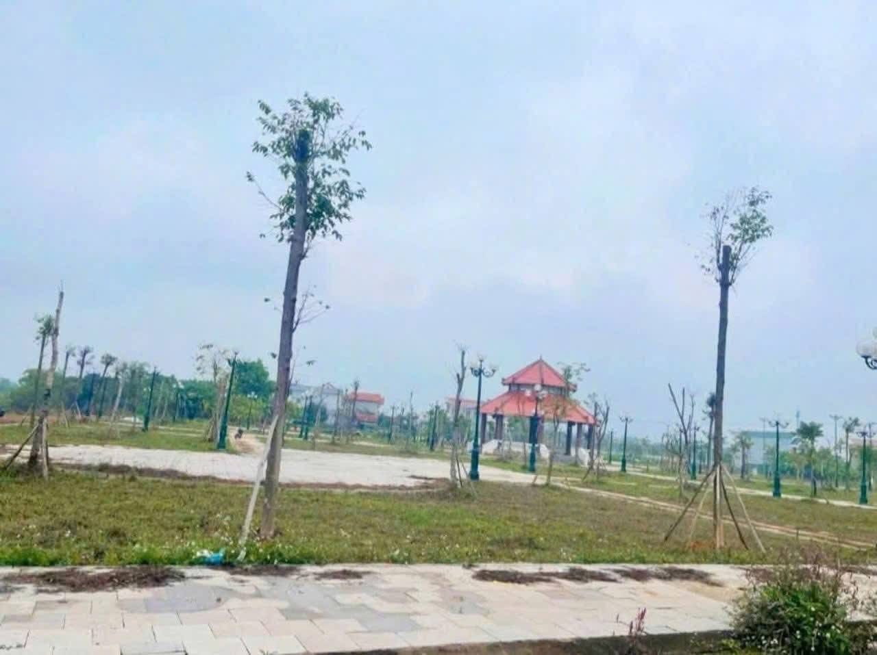 Siêu phẩm đất đấu giá nhà nước tại khu K04, view vườn hoa thị trấn Tam Sơn