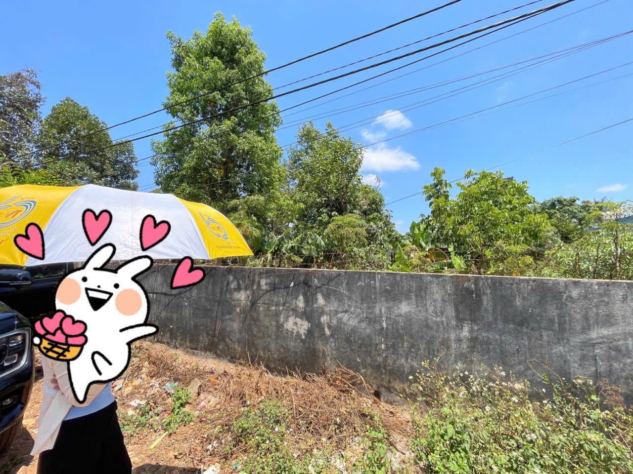 Bán đất 258m2 hẻm 1 Nguyễn Hữu Thọ, Phù hợp xây nhà vườn nghỉ dưỡng