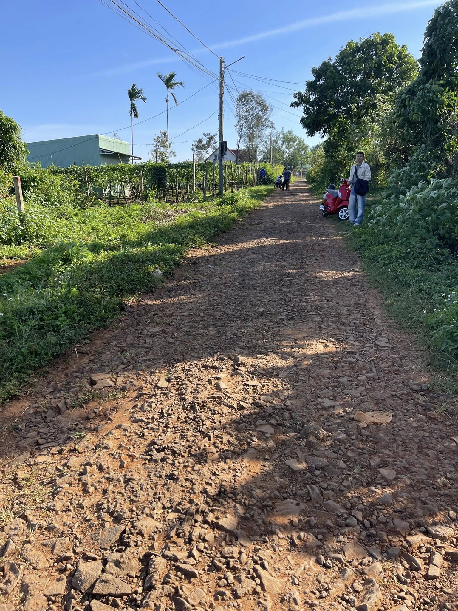 Đất mặt tiền Bùi Dự nối dài, Pleiku, Gia Lai, giá tốt