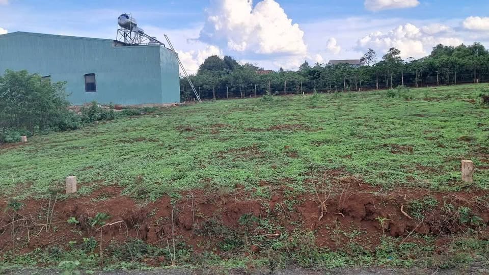 Đất vàng Ia Hrung - Cơ hội an cư đầu tư sinh lời