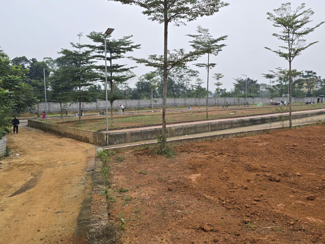 Thắng Đấu, Phú Cát, đất thổ cư vuông vắn, đón tương lai thịnh vượng