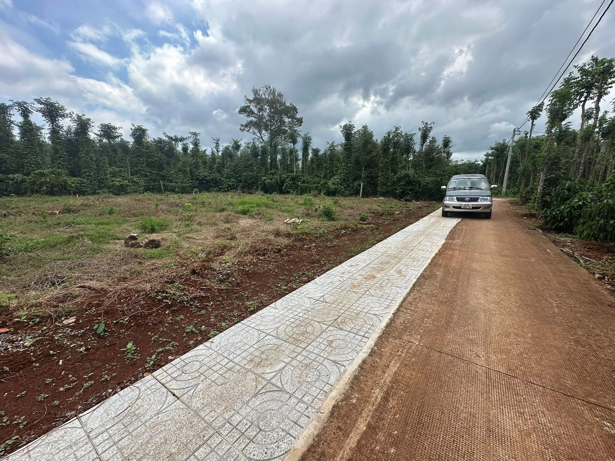 Cần bán 10 lô đất đẹp với diện tích 5m x 25m, có 80m2 thổ cư, sổ đỏ sẵn sàng