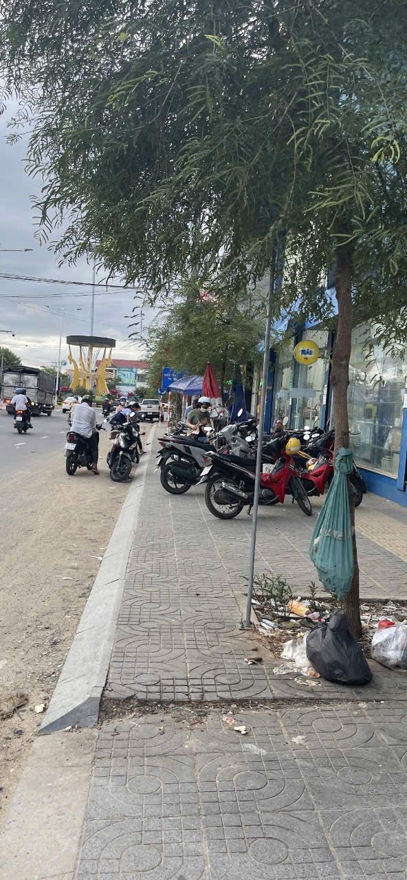 Câu chuyện bắt đầu tại Phước Tỉnh, Long Hải, Bà Rịa - Vũng Tàu