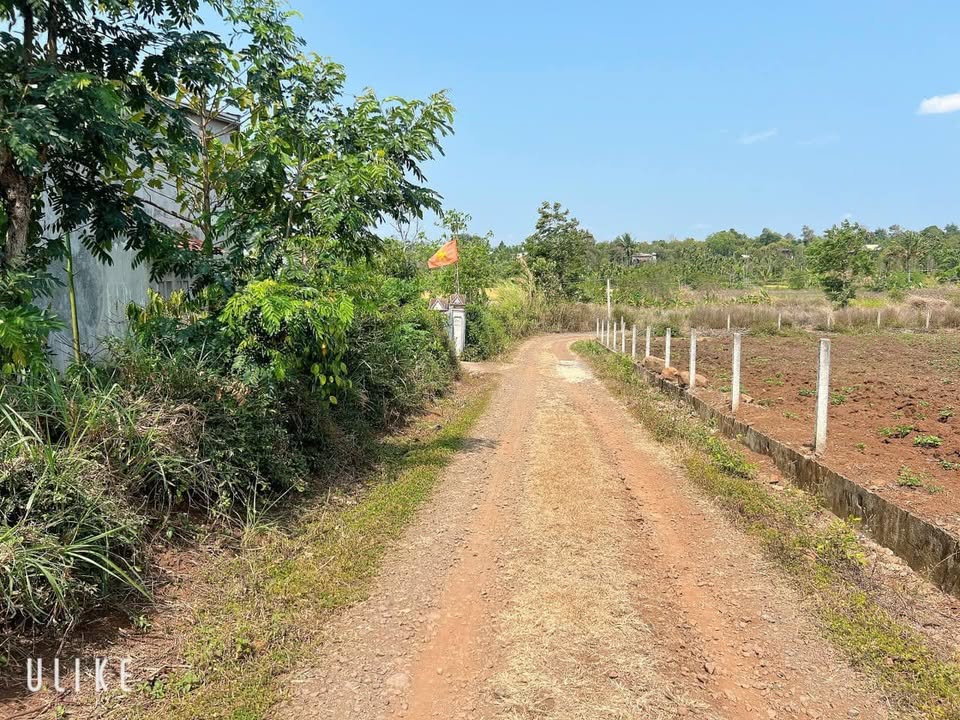 Bán đất thổ cư vuông vắn, nở hậu tại Eaning, Cư Kuin, Đắk Lắk