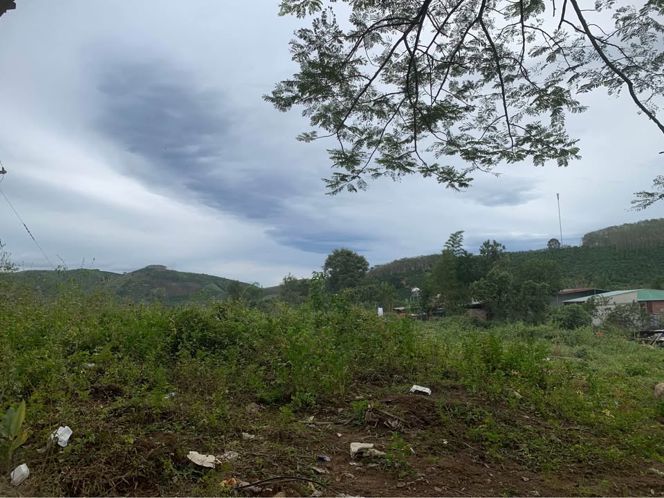 Bán nhanh 2 lô đất vàng mặt đường Bờ Y - Kon Tum