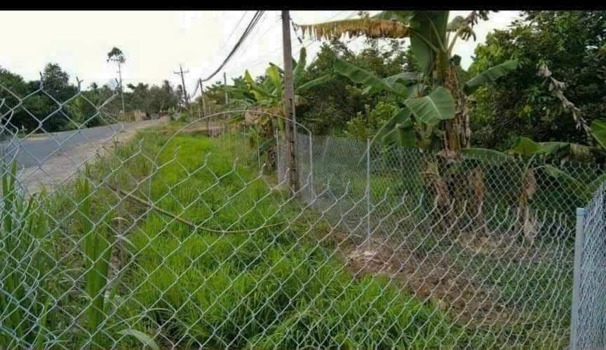 Bán đất Vĩnh Long, mặt tiền lộ 62m, 2764m2, thích hợp kho xưởng