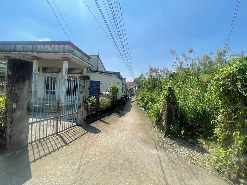 Bán đất thổ cư, vườn, lúa tại Bến Lức, đường xe 4 chỗ tới đất