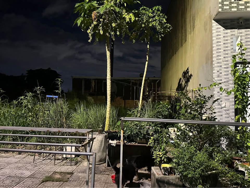 Siêu phẩm đất nền Bình Dương đã về