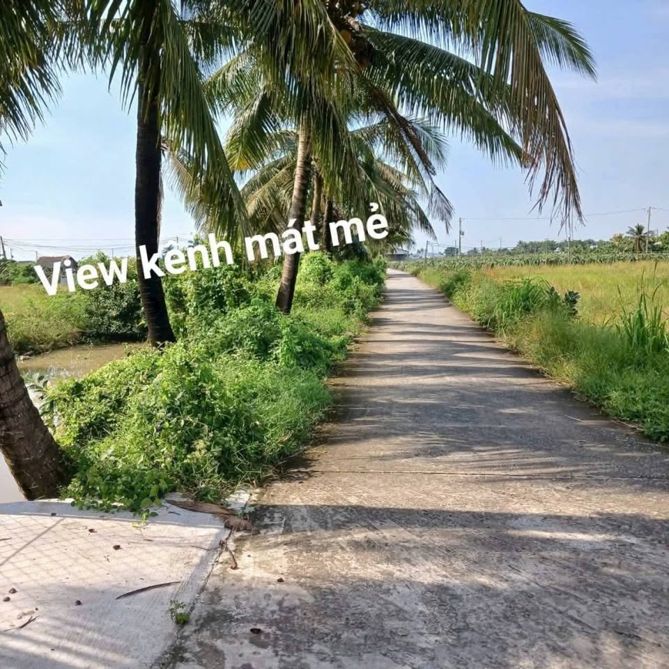 Siêu phẩm đất vườn 6.255m2 tại Hiệp Thạnh, Châu Thành, Long An