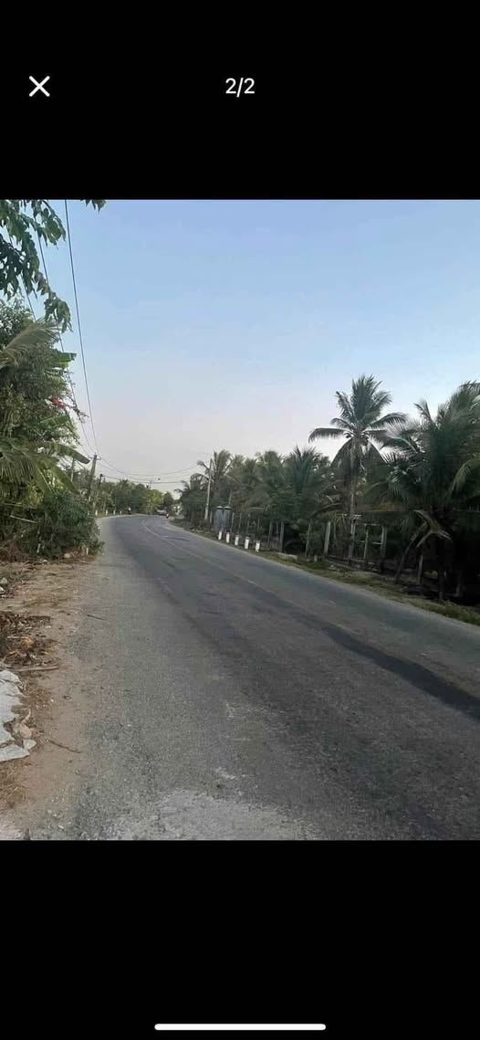 Đất vàng Châu Bình hơn 5 công dừa thơm, mặt tiền lộ lớn, sẵn sàng cho mọi ươm mầm kinh doanh