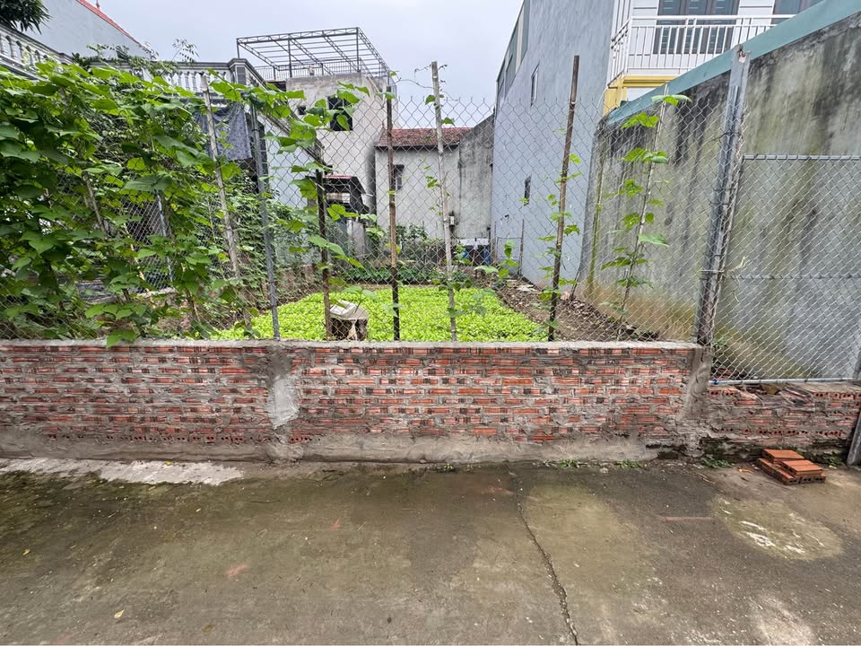 Siêu phẩm đất nền Phương Đình, Đan Phượng đang chờ chủ nhân xứng tầm