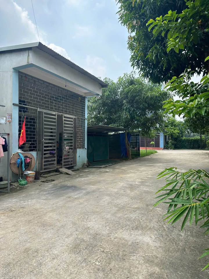 Nhà 95m2 full thổ cư, full nội thất, đường ô tô tránh - Việt Trì