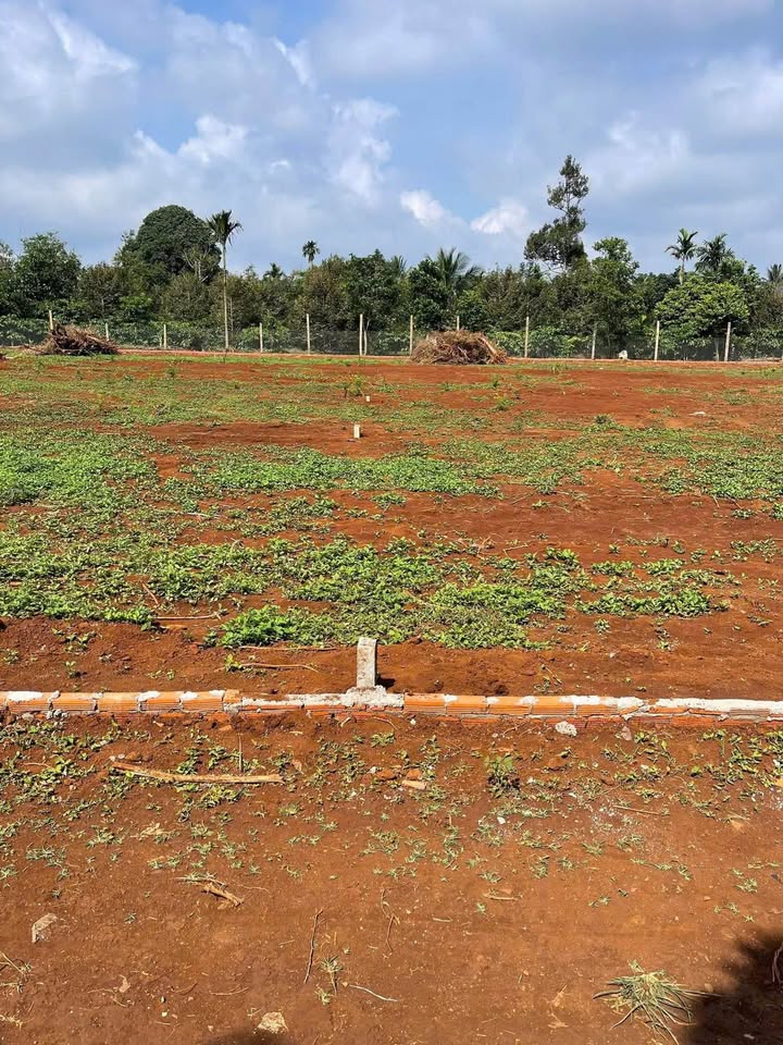 Cơ hội sở hữu ngay 2 lô đất liền kề tuyệt đẹp tại Cư Juấn, Đắk Lắk