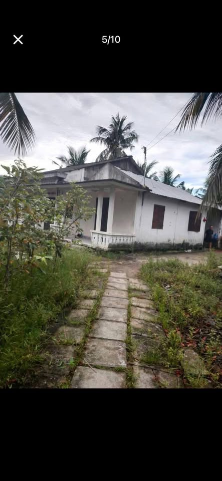 Bán gấp đất quy hoạch đất ở 2000m2 tại Phường 6, Bến Tre - Gần bệnh viện