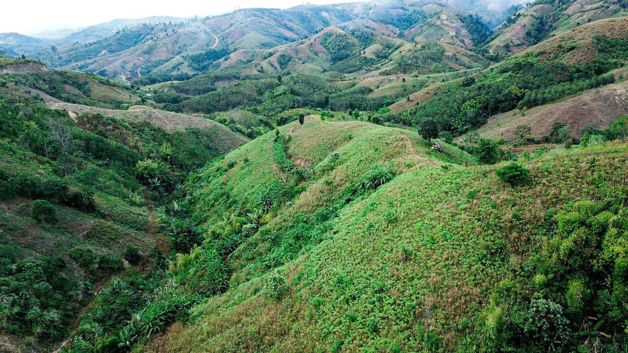 Đất Ngọc Hồi, Kon Tum 2 ha sẵn sàng, ô tô tới tận nơi