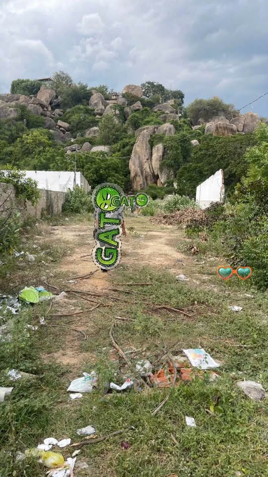 Cơ hội sở hữu lô đất kim cương tại mặt đường Trường Chinh, thành phố Phan Rang - Tháp Chàm