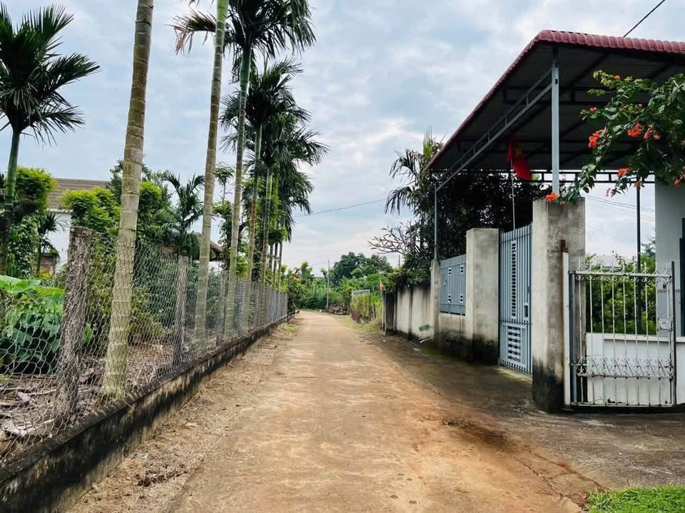 Bán đất thổ cư 5x38m gần Hồ Eakao, Đắk Lắk - Giá ưu đãi sốc