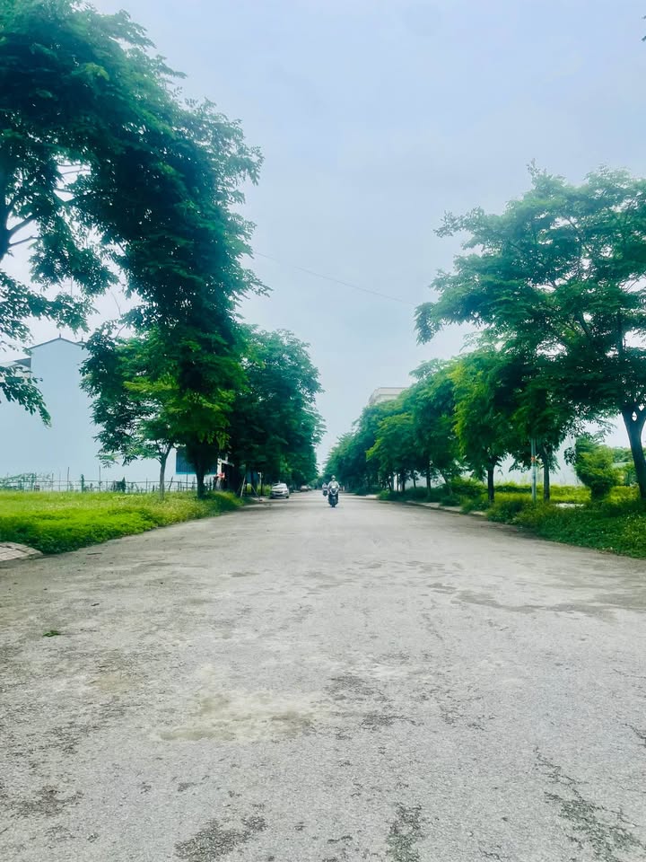 Bán đất nền dự án Tecco Nghi Kim - Cơ hội vàng sở hữu 160m2 hướng Tây Nam