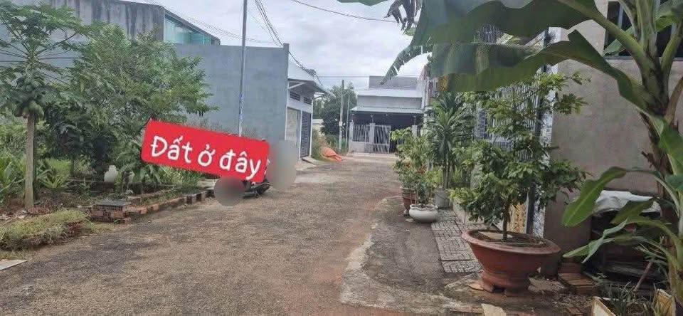 Bán đất lô góc thoát hiểm tại khu phố Nam Hoà Long, Phường Tam Long, Thành phố Hồ Chí Minh