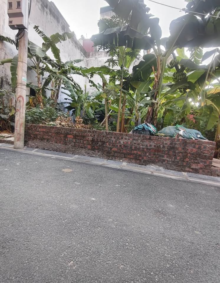 Siêu phẩm đất nền 47.2m2 tại Thụy Hà, Bắc Hồng, Đông Anh, Hà Nội đang chờ chủ nhân