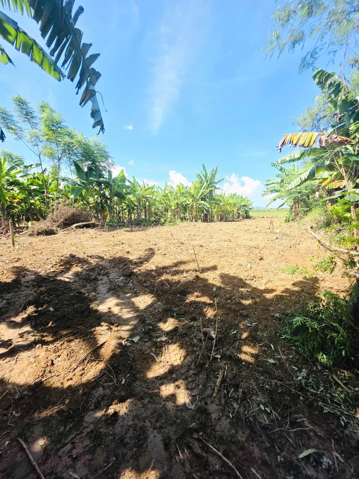 Cơ hội đầu tư hấp dẫn với lô đất rộng 304m2 (bao gồm 144m2 đất ở) tọa lạc tại phường Hòa Khê, quận Cẩm Lệ