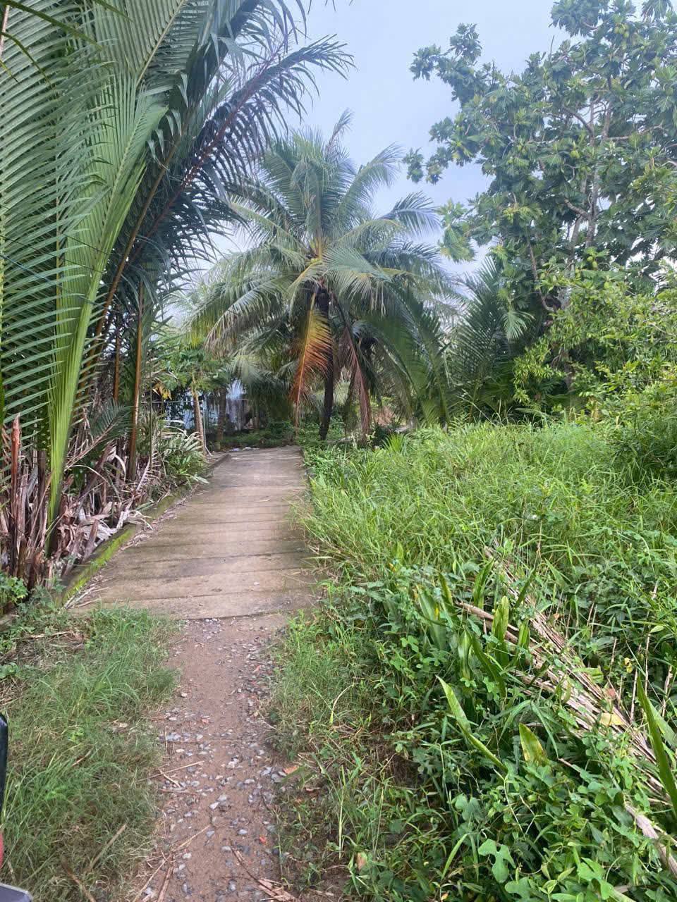 Siêu phẩm đất nền tại xã Mỹ Thạnh An, thành Bến Tre