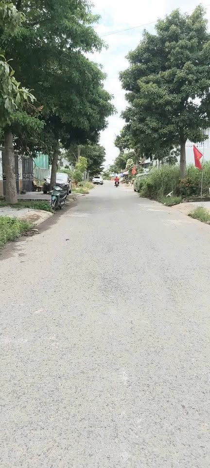 Cơ hội vàng cho ai đang săn đất Vĩnh Long đây