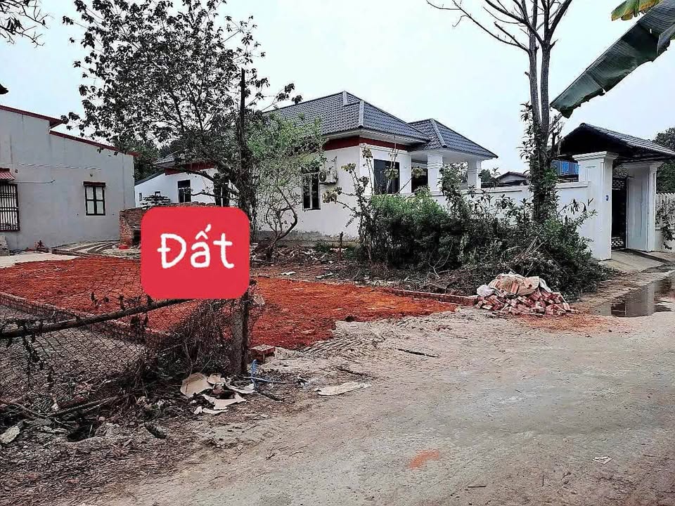 Đất Phú Ninh, Tam Dương - đầu tư sinh lời ngay