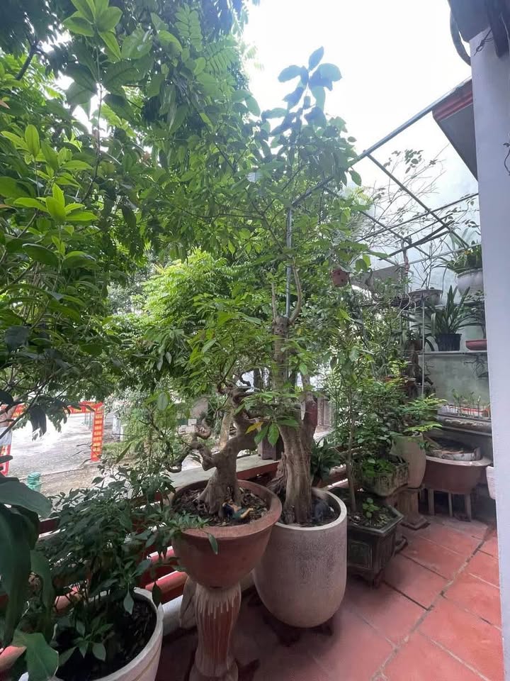 An cư lạc nghiệp tại nhà 3 tầng Quảng Thắng, đón bình minh Đông Bắc