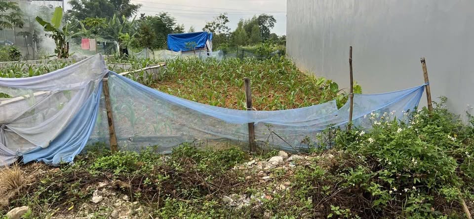 Đất Lạng Sơn vuông vắn, ô tô vào tận nơi, giá mềm xỉu